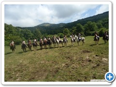 a_cavallo_sulla_gustav_2014_10