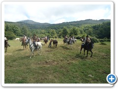 a cavallo sulla gustav 2014 (11)