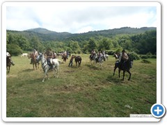 a_cavallo_sulla_gustav_2014_11_0