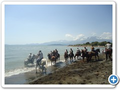 a cavallo sulla gustav 2014 (12)