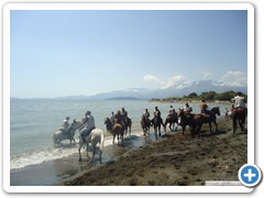 a_cavallo_sulla_gustav_2014_12