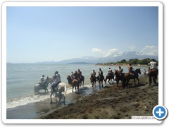 a_cavallo_sulla_gustav_2014_12_0