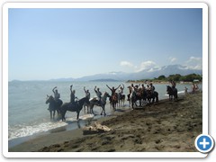 a cavallo sulla gustav 2014 (13)