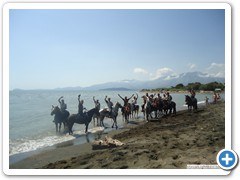 a_cavallo_sulla_gustav_2014_13