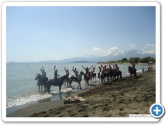 a_cavallo_sulla_gustav_2014_13_0