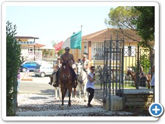 a cavallo sulla gustav 2014 (14)