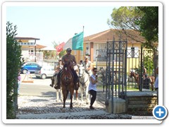 a_cavallo_sulla_gustav_2014_14