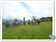 a cavallo sulla gustav 2014 (17)