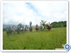a_cavallo_sulla_gustav_2014_17