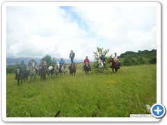 a_cavallo_sulla_gustav_2014_17_0