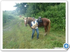 a_cavallo_sulla_gustav_2014_19_0