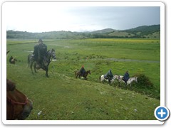 a cavallo sulla gustav 2014 (20)