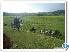 a_cavallo_sulla_gustav_2014_20