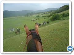 a cavallo sulla gustav 2014 (21)