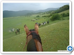 a_cavallo_sulla_gustav_2014_21