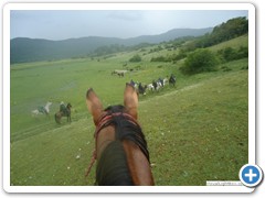 a_cavallo_sulla_gustav_2014_21_0