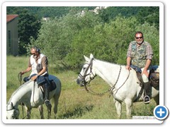 a_cavallo_sulla_gustav_2014_28_0