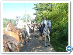 a cavallo sulla gustav 2014 (29)