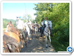 a_cavallo_sulla_gustav_2014_29
