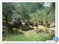 a_cavallo_sulla_gustav_2014_2_0