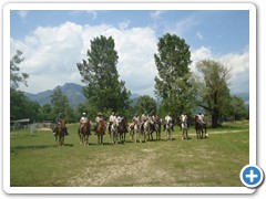 a cavallo sulla gustav 2014 (3)