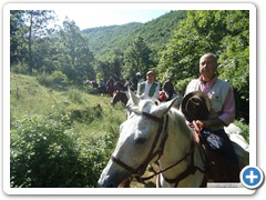 a_cavallo_sulla_gustav_2014_30