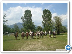 a_cavallo_sulla_gustav_2014_3
