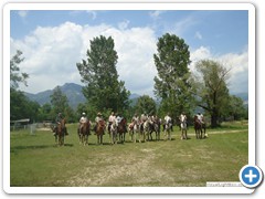 a_cavallo_sulla_gustav_2014_3_0