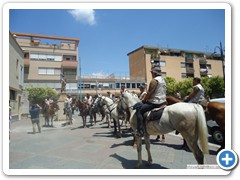 a_cavallo_sulla_gustav_2014_4