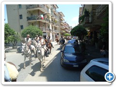 a cavallo sulla gustav 2014 (6)
